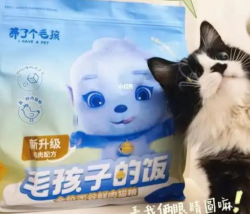 口粮！三只松鼠靠什么重返宠物食品赛道不朽情缘mg网址零食巨头盯上毛孩子(图2)