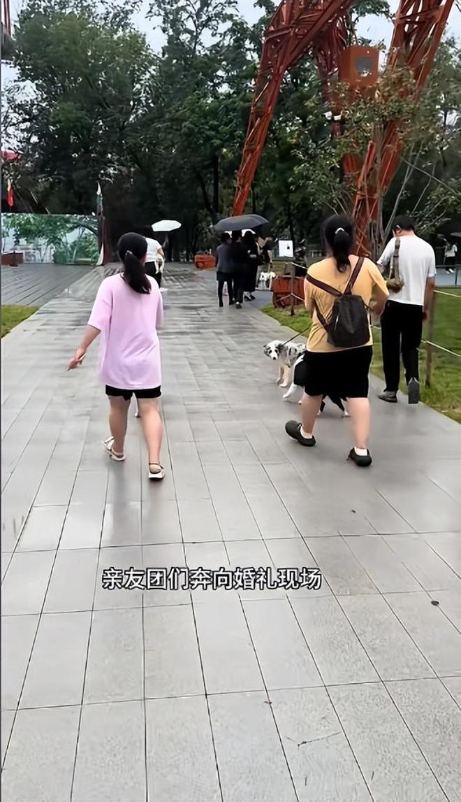 宅豪车法拉利接亲外国小伙乐坏了不朽情缘MG富婆给狗办婚礼送豪(图8)