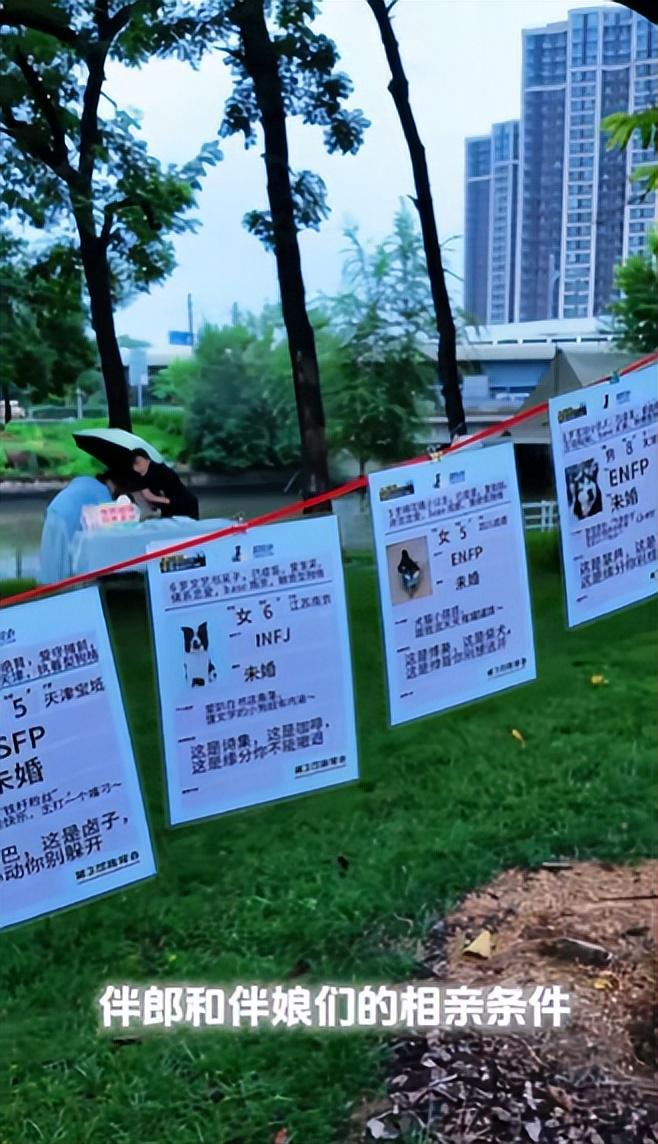 宅豪车法拉利接亲外国小伙乐坏了不朽情缘MG富婆给狗办婚礼送豪(图11)