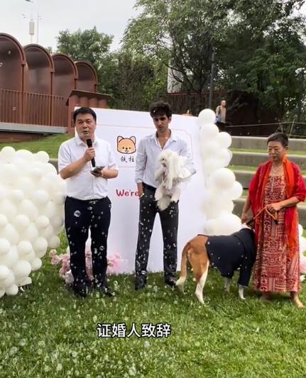 宅豪车法拉利接亲外国小伙乐坏了不朽情缘MG富婆给狗办婚礼送豪(图19)