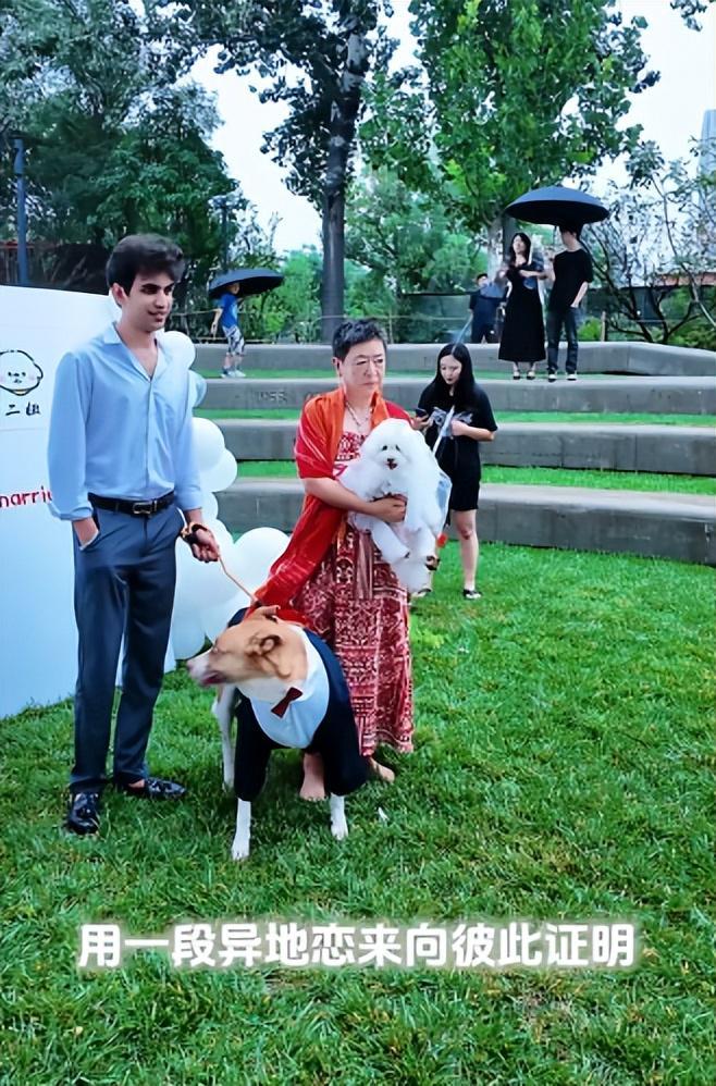 宅豪车法拉利接亲外国小伙乐坏了不朽情缘MG富婆给狗办婚礼送豪(图23)